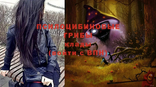 прущие крисы Дмитров